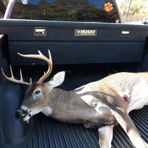 Meet your Posher, Austin